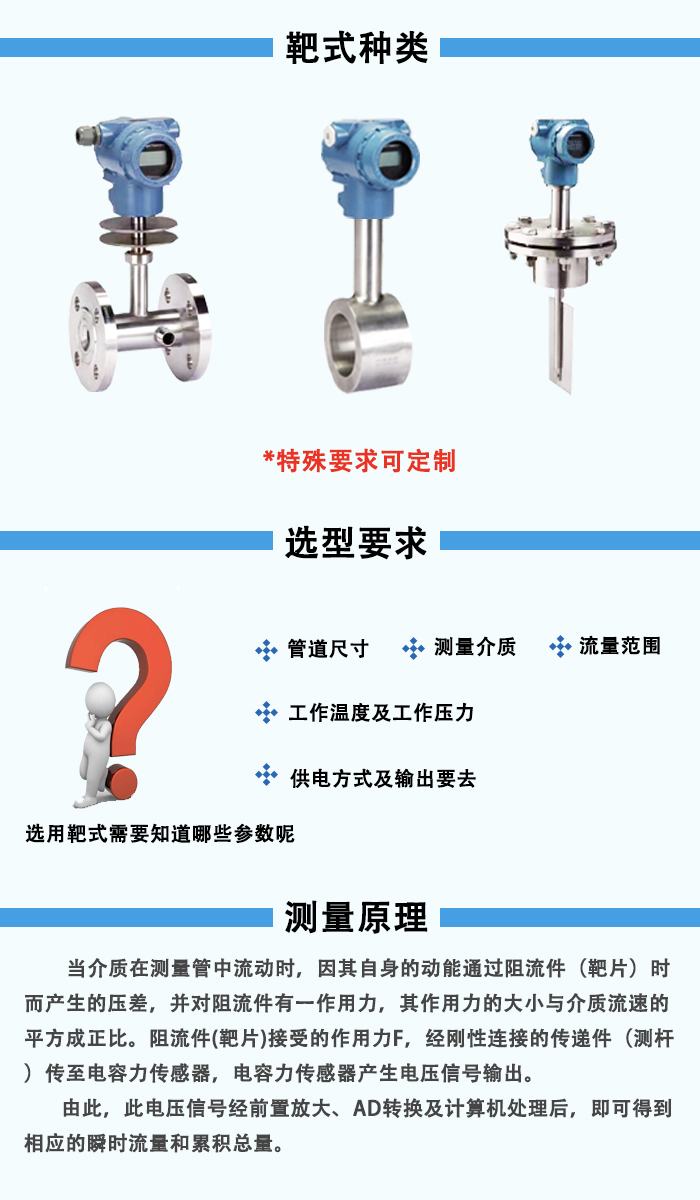 靶式流(liú)量計
